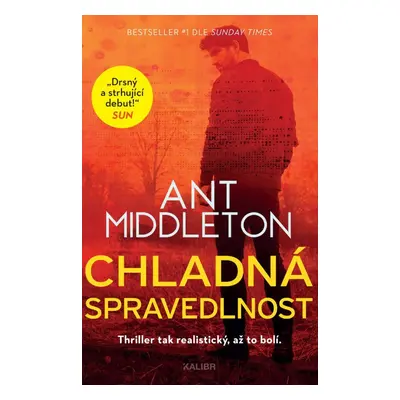 Chladná spravedlnost - Ant Middleton