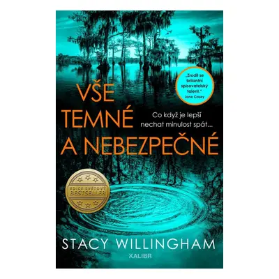 Vše temné a nebezpečné - Stacy Willingham