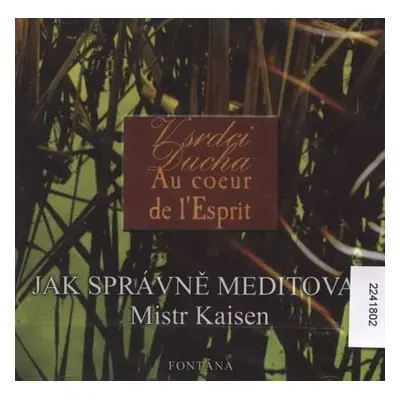 Jak správně meditovat - CD, 1. vydání - Mistr Kaisen