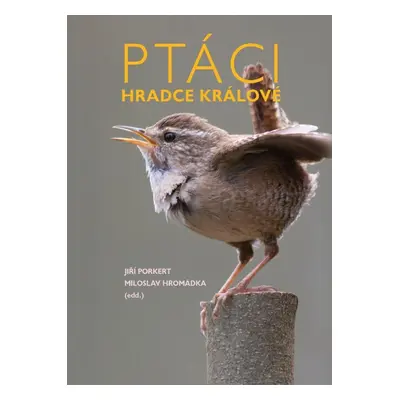 Ptáci Hradce Králové, 2. vydání - Jiří Porkert