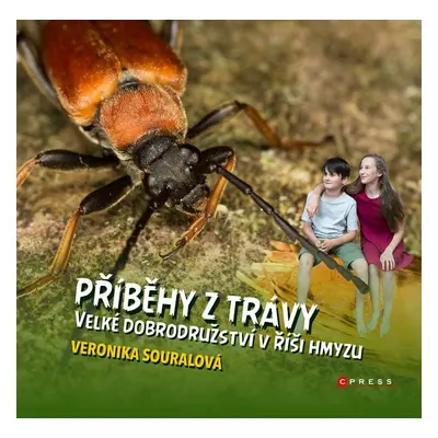 Příběhy z trávy - Veronika Souralová