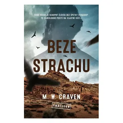 Beze strachu - M. W. Craven