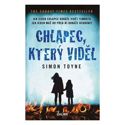 Chlapec, který viděl - Simon Toyne