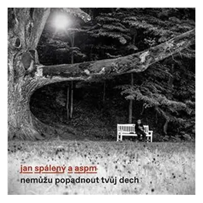 Nemůžu popadnout tvůj dech - LP - Jan Spálený