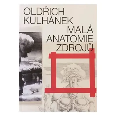 Oldřich Kulhánek - Malá anatomie zdrojů - Oldřich Kulhánek