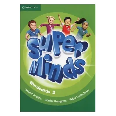 Super Minds Level 2 Wordcards (Pack of 90) - Herbert Puchta