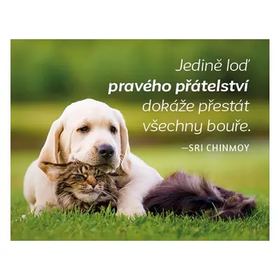 Magnet na lednici - Jedině loď pravého přátelství dokáže přestát všechny bouře. - Sri Chinmoy