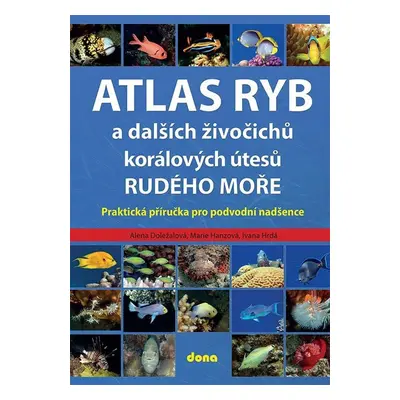 Atlas ryb a dalších živočichů korálových útesů Rudého moře - Praktická příručka pro vodní nadšen