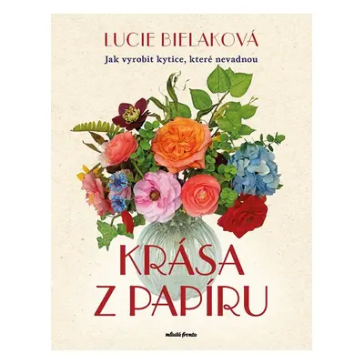 Krása z papíru - Lucie Bielaková