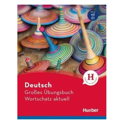 Großes Übungsbuch Deutsch:: Wortschatz aktuell A2-C1 - Marion Techmer