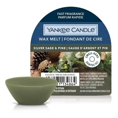 YANKEE CANDLE Silver Sage & Pine vonný vosk 22g