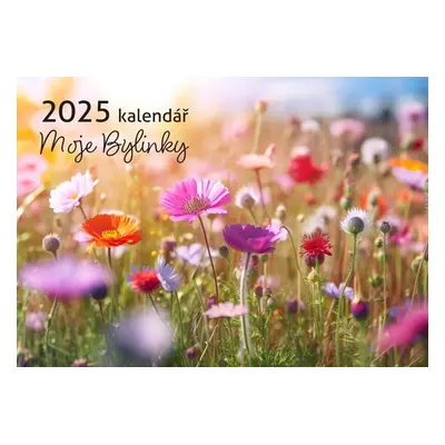 Kalendář Moje Bylinky 2025 - Nástěnný měsíční kalendář