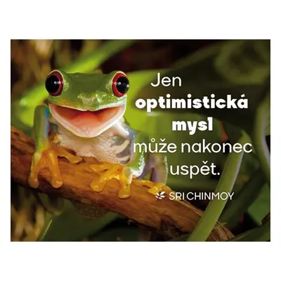 Magnet na lednici "Jen optimistická mysl může nakonec uspět" - Sri Chinmoy