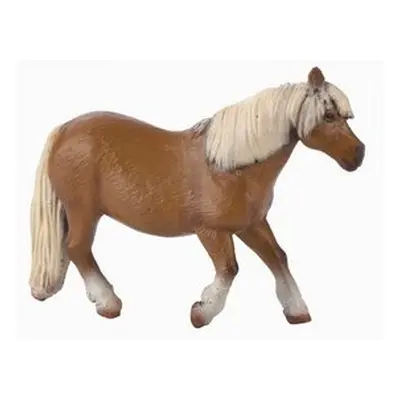 Pony Shetlandský