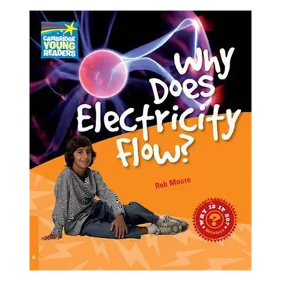 Cambridge Factbooks 6: Why does electricity flow? - Rob Moore