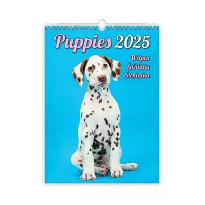 Kalendář nástěnný 2025 - Puppies / Welpen / Štěňátka / Šteniatka