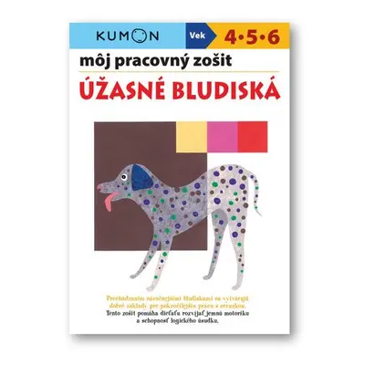 Môj pracovný zošit Úžasné bludiská - Toshihiki Karakido