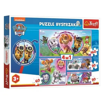 Puzzle s hledáním rozdílů Tlapková patrola 4v1