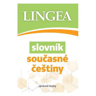 Slovník současné češtiny - kolektiv autorů