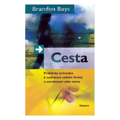 Cesta - Praktický průvodce k uzdravení vašeho života a osvobození sebe sama - Brandon Bays