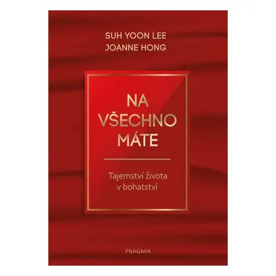 Na všechno máte - Tajemství života v bohatství - Joanne Hong