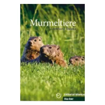 Murmeltiere - Leonhard Thoma