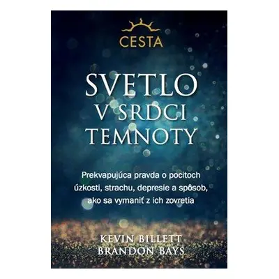 Svetlo v srdci temnoty - Kevin Billet