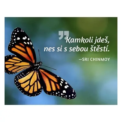 Magnet na lednici - Kamkoli jdeš, nes si s sebou štěstí. - Sri Chinmoy