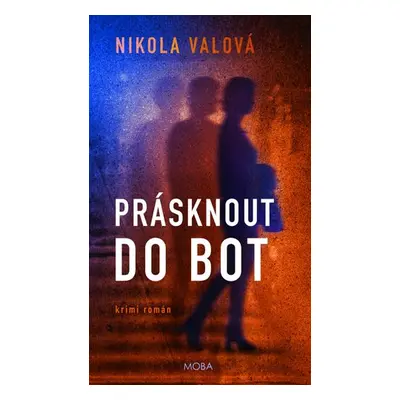 Prásknout do bot - Nikola Valová