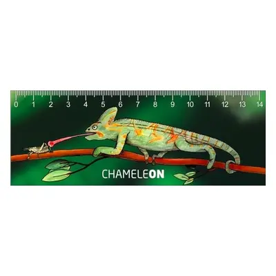 Pravítko 3D - Chameleon