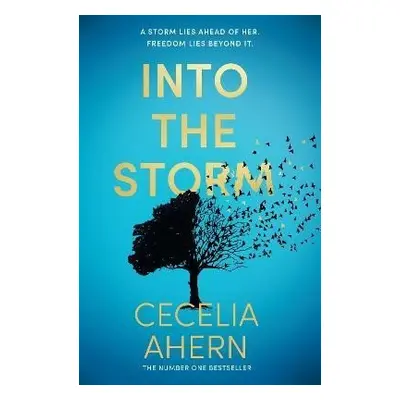 Into the Storm - Cecelia Ahern