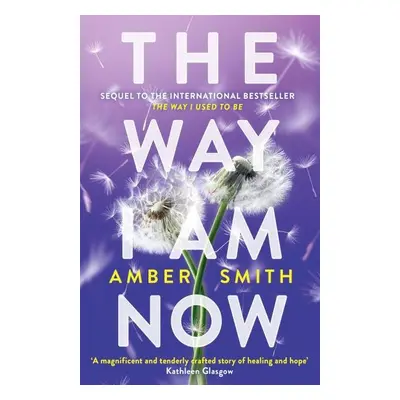 The Way I Am Now - Amber Smith