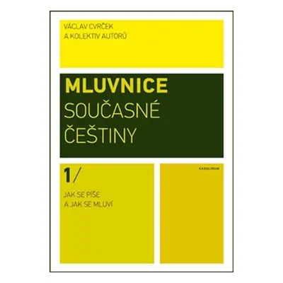 Mluvnice současné češtiny I - Jak se píše a jak se mluví - Eva Stejskalová