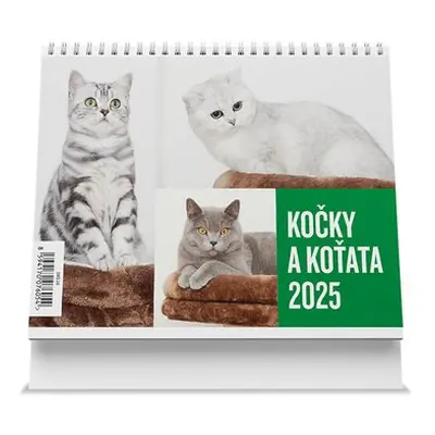 Kočky a koťata 2025 - stolní kalendář