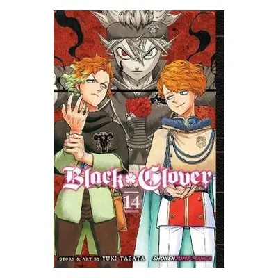 Black Clover 14 - Yuki Tabata