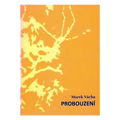 Probouzení - Marek Vácha