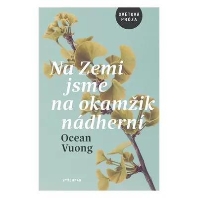 Na Zemi jsme na okamžik nádherní - Ocean Vuong