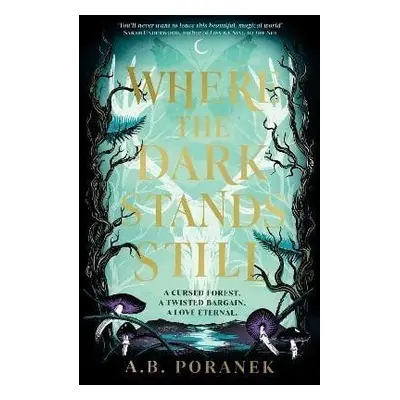 Where the Dark Stands Still - A. B. Poranek