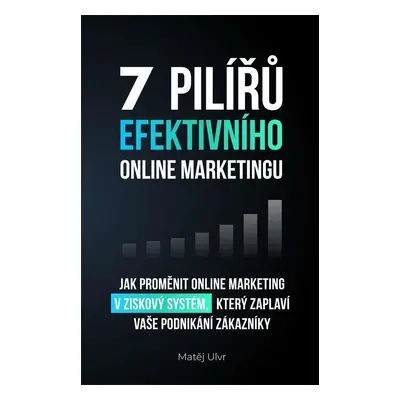 7 pilířů efektivního marketingu - Jak proměnit online marketing v ziskový systém, který zaplaví 