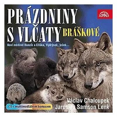 Bráškové, prázdniny s vlčaty - CD - interpreti Různí