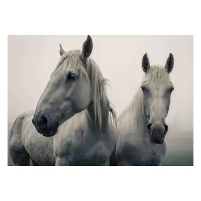 Pohlednice 3D - White horses