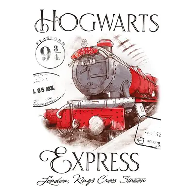 Dětský ručník Harry Potter Bradavický Express 30x50 cm