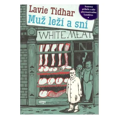 Muž leží a sní - Lavie Tidhar