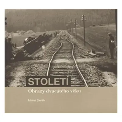 Století - Obrazy dvacátého věku - Michal Stehlík