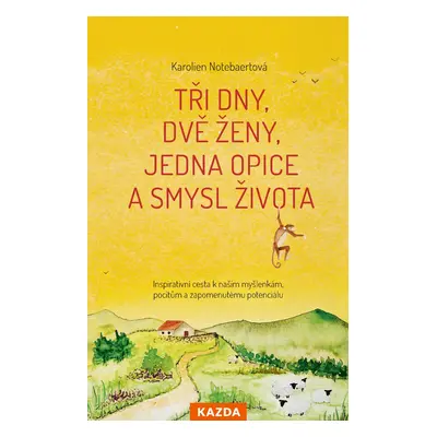 Tři dny, dvě ženy, jedna opice a smysl života Provedení: E-kniha