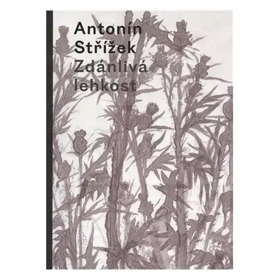 Zdánlivá lehkost - Antonín Střížek