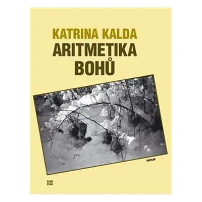 Aritmetika bohů - Katrina Kalda