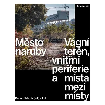 Město naruby - Vágní terén, vnitřní periferie a místa mezi místy - Radan Haluzík