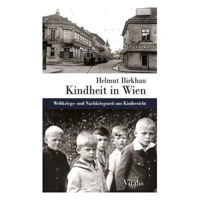 Kindheit in Wien - Weltkriegs- und Nachkriegszeit aus Kindersicht - Helmut Birkhan