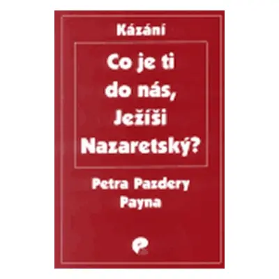 Co je ti do nás, Ježíši Nazaretský? - Petr Pazdera Payne